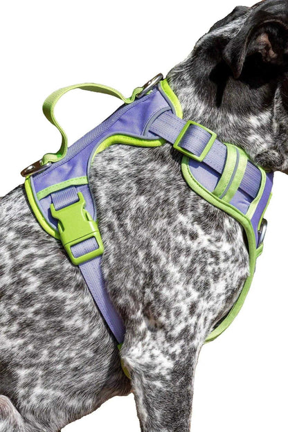 Harness Lavender Garden Ultimate Dog Harness HA24LG01 49 $ Shop All Aria the Fox Stew's Incense