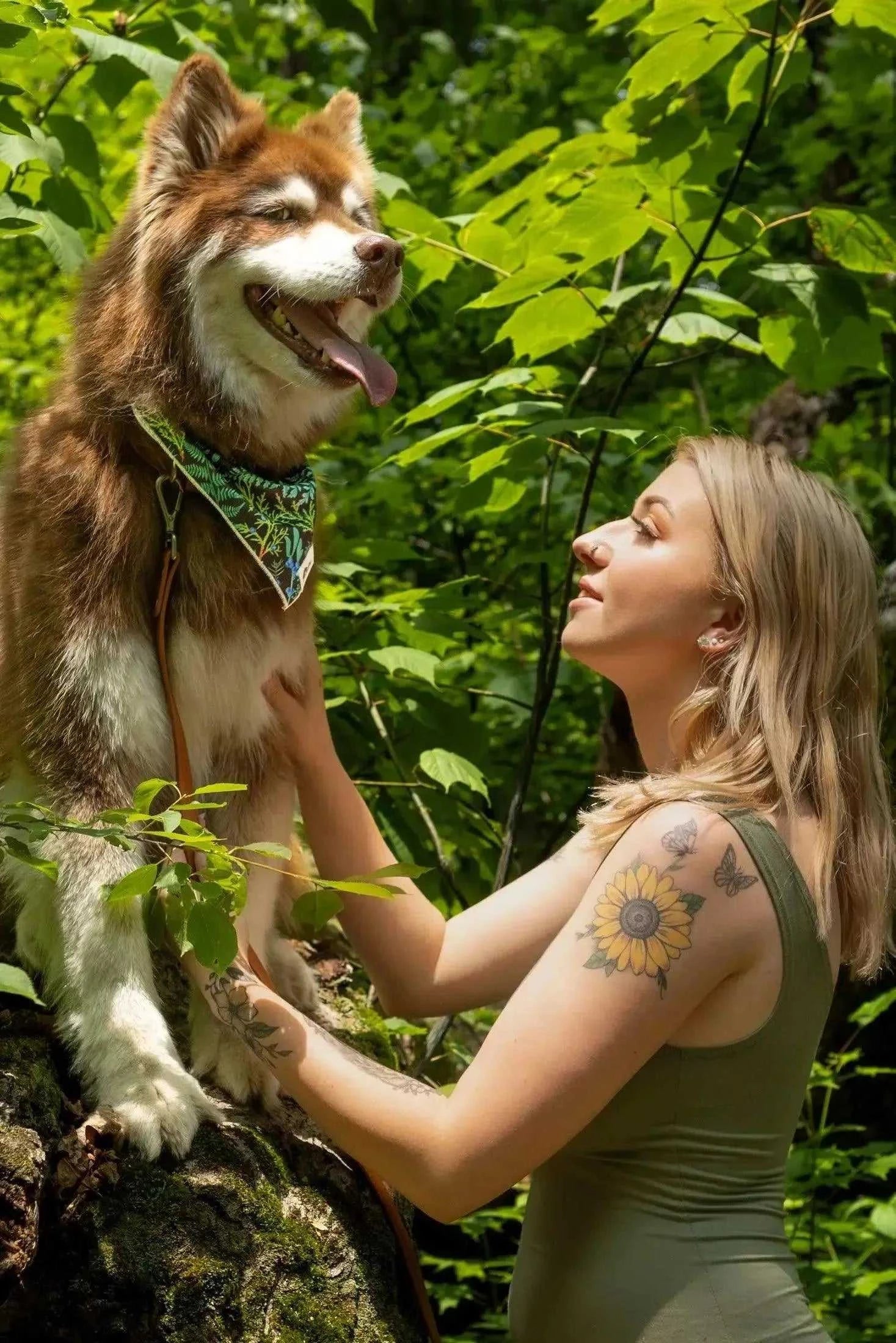 bandana Magical Fern Forest Dog Bandana & Matching Keychain BK24MF01 26 $ Shop All Aria the Fox Stew's Incense