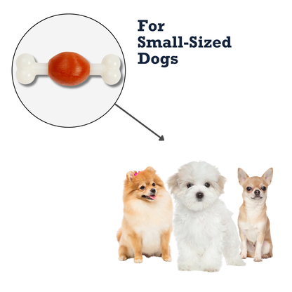 TPR/Nylon Combos Country Living TPR & Nylon Bone Dog Chew Toy - Beef-Flavored, Ideal for Small Dogs NYL401 12 $ Pet Lovers Store American Pet Supplies Stew's Incense