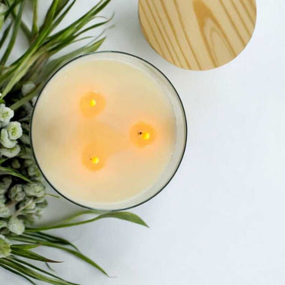  Citronella Candle – 16 oz 3-Wick Outdoor Mosquito Repellent with Essential Oils sku-42061936853082 12 $ Shop All Moon Water Apothecary Stew's Incense