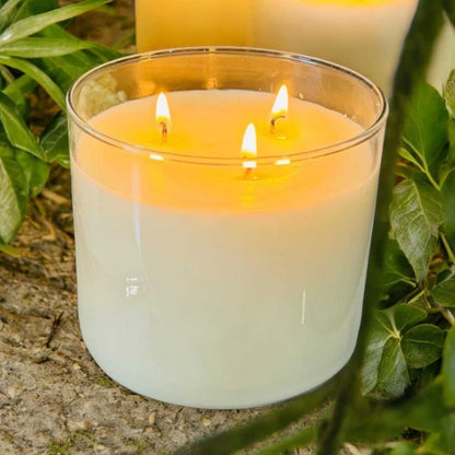  Citronella Candle – 16 oz 3-Wick Outdoor Mosquito Repellent with Essential Oils sku-42061936853082 12 $ Shop All Moon Water Apothecary Stew's Incense