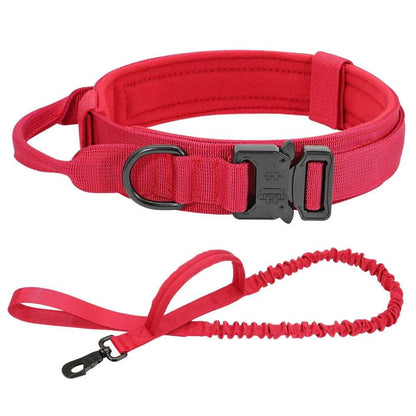 Tactical collar The Tactical Luxe Collar & Leash 1005004340823264-Green Leash-M 37 $ Pet Lovers Shop All Products Fashioned Furbabies Stew's Incense