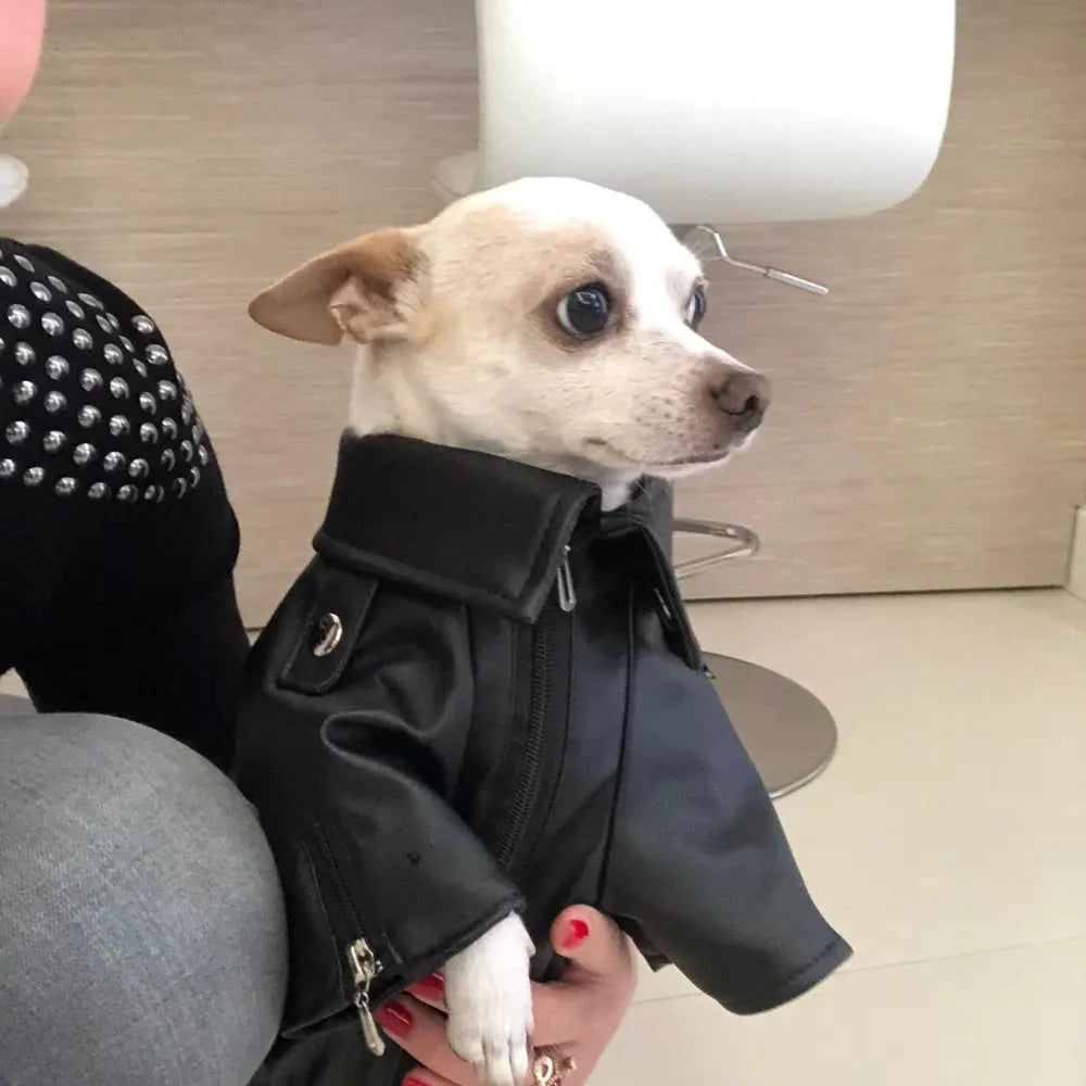 Glorious Eagle Outerwear Fashion C(XXS-XXL)