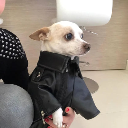 Glorious Eagle Outerwear Fashion C(XXS-XXL)