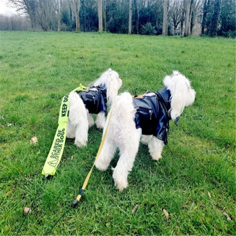 Glorious Eagle Outerwear Fashion C(XXS-XXL)