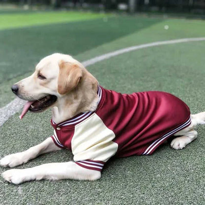  Big Dog Baseball Suit 1005008064340537-Wine red-L 54 $ Pet Lovers Shop All Products Fashioned Furbabies Stew's Incense