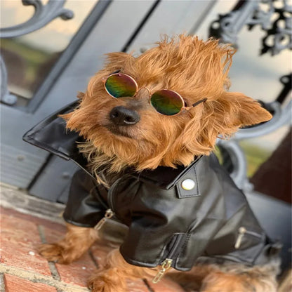 Glorious Eagle Outerwear Fashion C(XXS-XXL)