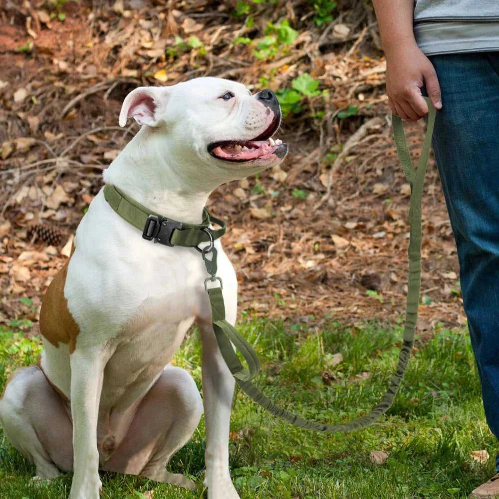 Tactical collar The Tactical Luxe Collar & Leash 1005004340823264-Green Leash-M 37 $ Pet Lovers Shop All Products Fashioned Furbabies Stew's Incense