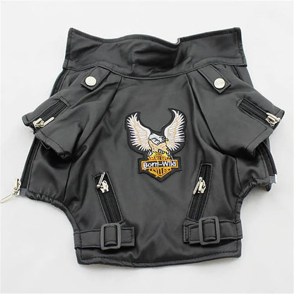 Glorious Eagle Outerwear Fashion C(XXS-XXL)