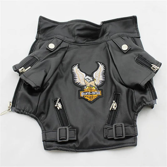 Glorious Eagle Outerwear Fashion C(XXS-XXL)
