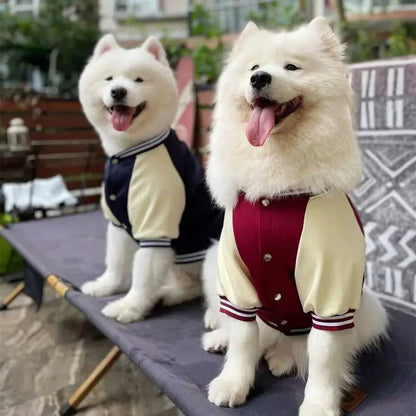  Big Dog Baseball Suit 1005008064340537-Wine red-L 54 $ Pet Lovers Shop All Products Fashioned Furbabies Stew's Incense