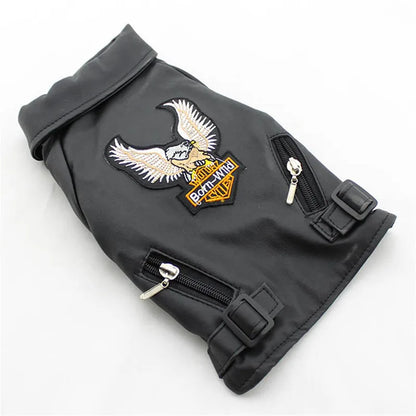 Glorious Eagle Outerwear Fashion C(XXS-XXL)