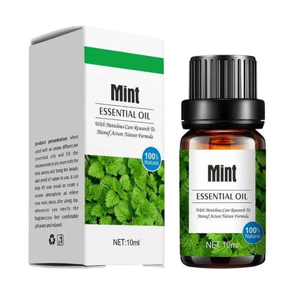  10ml Lavender Plant Lemon Essential Oil Humidifier Using Water-soluble Aromatherapy 12000040896201203 7 $ Eternal Diamond Store Stew's Incense