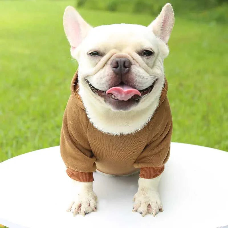 Dog hoodie Chapter One Dogs Hood - Warm Winter Hoodie 1005004620342981-Coffee-2XL 45 $ Pet Lovers Shop All Products Fashioned Furbabies Stew's Incense