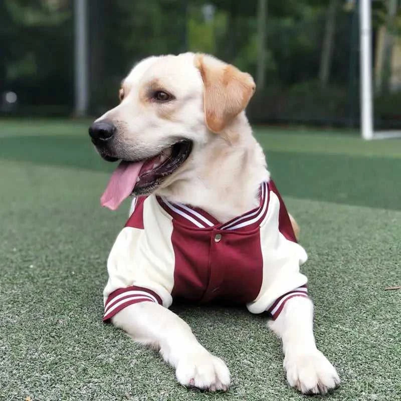 Big Dog Baseball Suit 1005008064340537-Wine red-L 54 $ Pet Lovers Shop All Products Fashioned Furbabies Stew's Incense