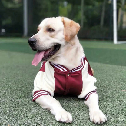  Big Dog Baseball Suit 1005008064340537-Wine red-L 54 $ Pet Lovers Shop All Products Fashioned Furbabies Stew's Incense