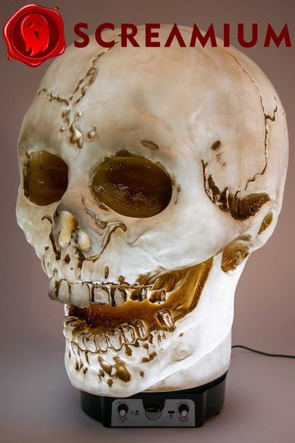 Halloween Giant Skull Animatronic Lamp Prop 20-Inch-Tall Heavy Duty Polyresin Halloween Decoration SCREAMIUM-MPN-10003 179 $ Shop All SCREAMIUM Stew's Incense