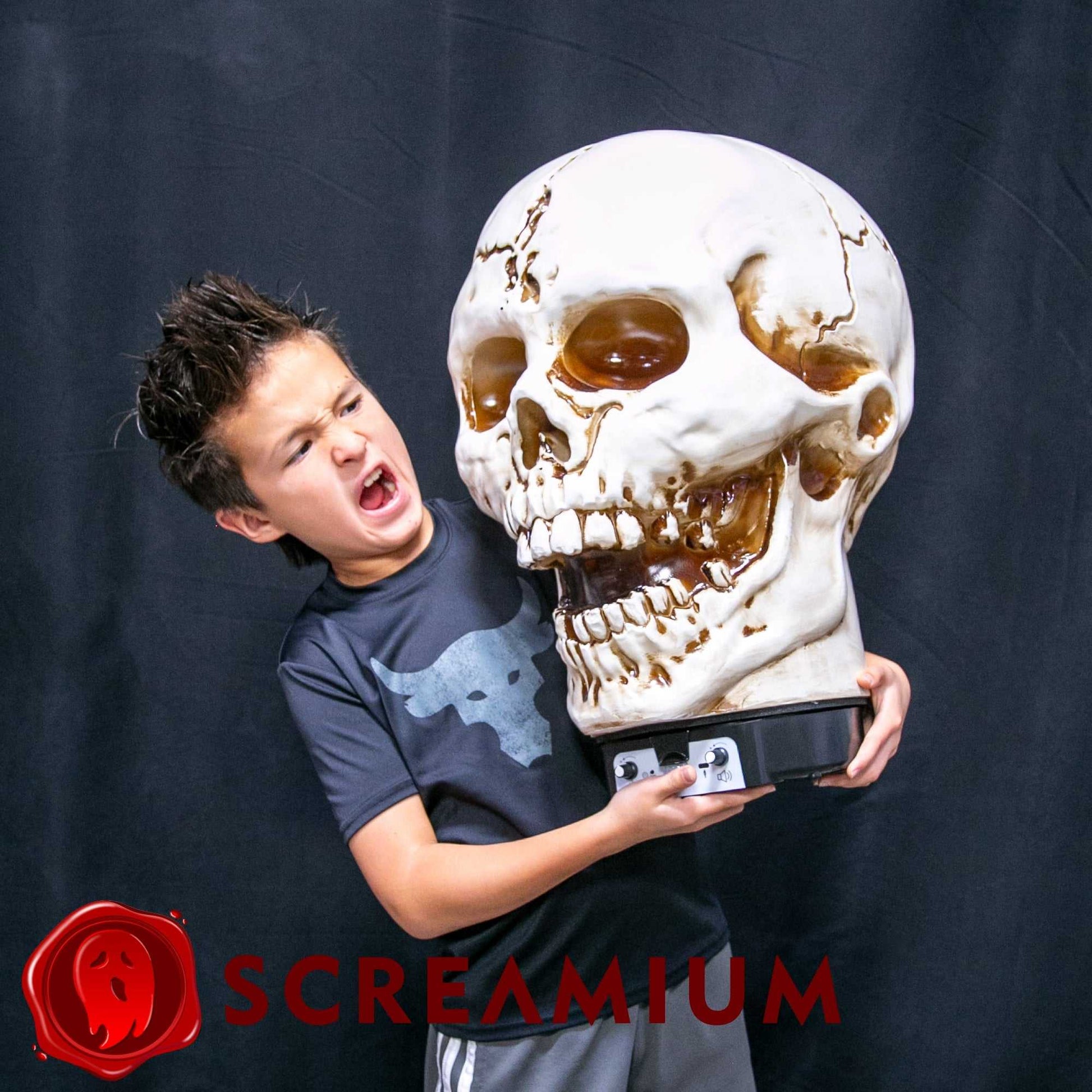 Halloween Giant Skull Animatronic Lamp Prop 20-Inch-Tall Heavy Duty Polyresin Halloween Decoration SCREAMIUM-MPN-10003 179 $ SCREAMIUM Stew's Incense