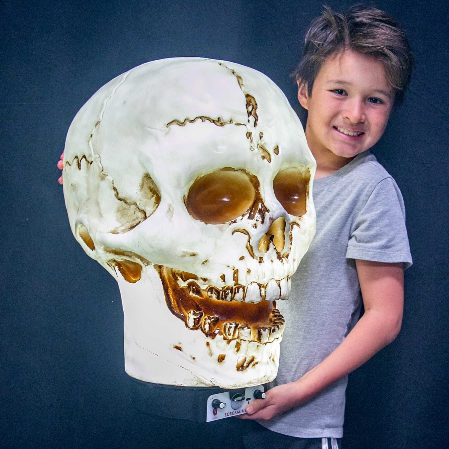 Halloween Giant Skull Animatronic Lamp Prop 20-Inch-Tall Heavy Duty Polyresin Halloween Decoration SCREAMIUM-MPN-10003 179 $ SCREAMIUM Stew's Incense