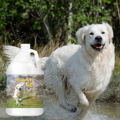 Cologne Simply CC Dog Cologne for the Classically Confident Canine sku-12192559824997 11 $ Pet Lovers Store The Blissful Dog Stew's Incense