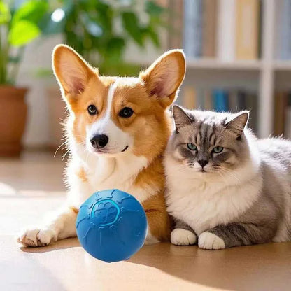 Cat Toy Automatic Cat Toy Automatic Electric Smart LED Light Cat Toy Pet Supplies For Exercise Mental Stimulation Scratching Post 12000047377759807 43 $ Fashioned Furbabies Stew's Incense