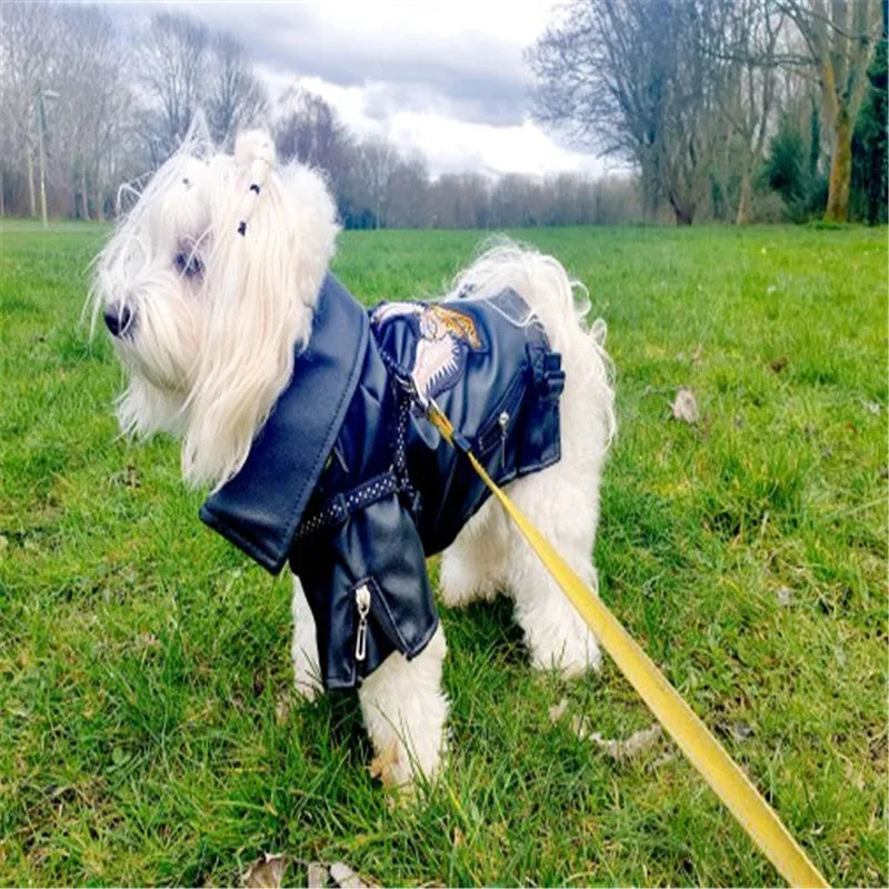 Glorious Eagle Outerwear Fashion C(XXS-XXL)