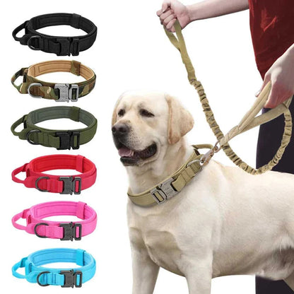 Tactical collar The Tactical Luxe Collar & Leash 1005004340823264-Green Leash-M 37 $ Pet Lovers Shop All Products Fashioned Furbabies Stew's Incense
