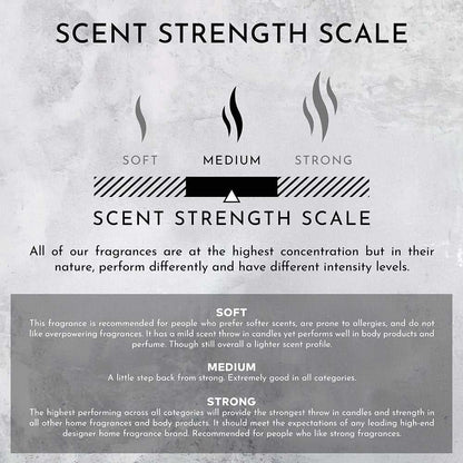 Environment - Room Spray (Hotel Aromatics) Damask Rose | Vetiver | Guaiac Wood Room Spray (Inspired by Le Labo Rose 31® and Fairmont Hotel®) EN-RS-FAIRMONT 38 $ Lava Rock Diffusers Stone Candles Stew's Incense