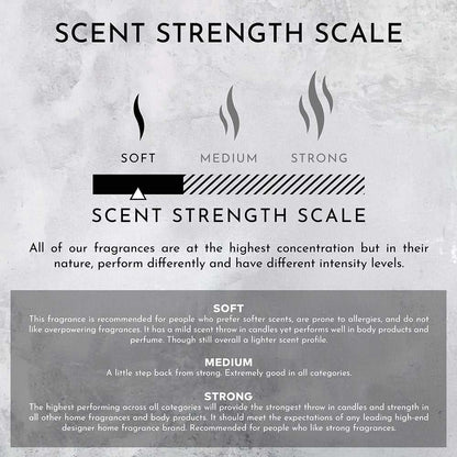 Environment - Room Spray (Hotel Aromatics) Marine | Bergamot | Jasmine Room Spray (Inspired by The Ritz Carlton Hotel®) EN-RS-RITZCARL 38 $ Lava Rock Diffusers Stone Candles Stew's Incense