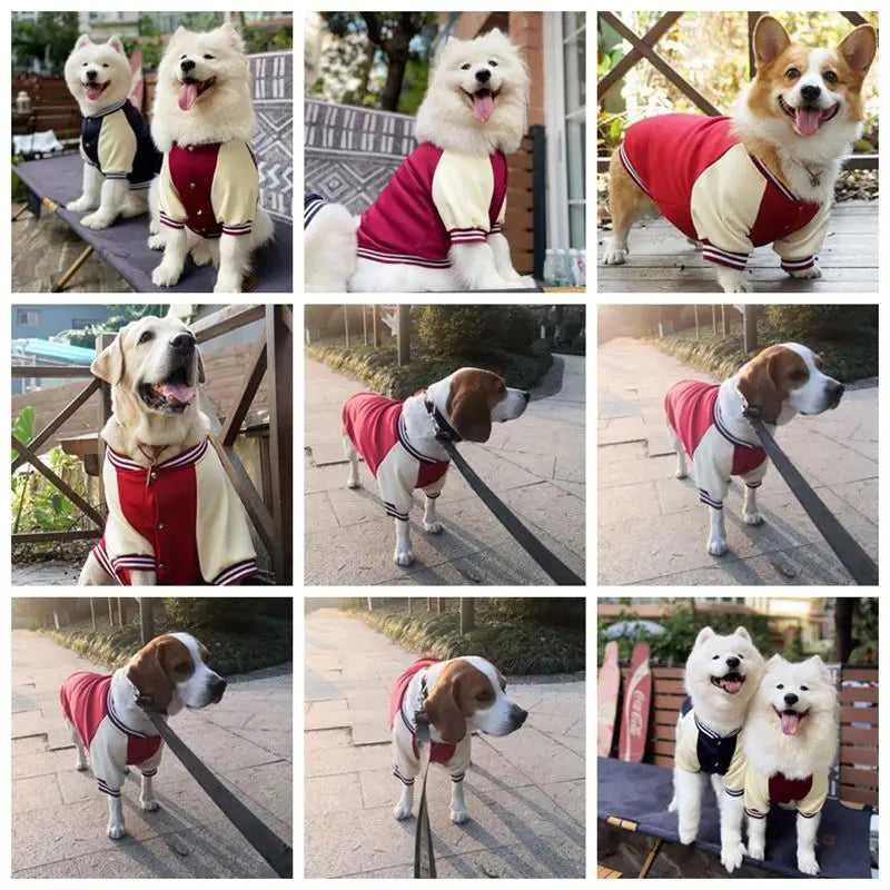  Big Dog Baseball Suit 1005008064340537-Wine red-L 54 $ Fashioned Furbabies Stew's Incense