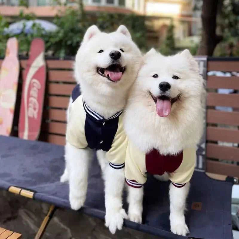  Big Dog Baseball Suit 1005008064340537-Wine red-L 54 $ Pet Lovers Shop All Products Fashioned Furbabies Stew's Incense