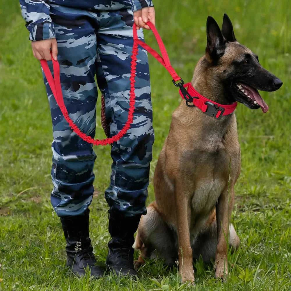 Tactical collar The Tactical Luxe Collar & Leash 1005004340823264-Green Leash-M 37 $ Pet Lovers Shop All Products Fashioned Furbabies Stew's Incense