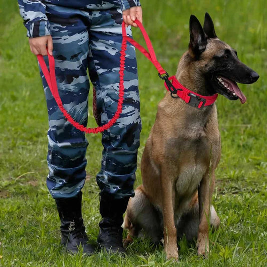 Tactical collar The Tactical Luxe Collar & Leash 1005004340823264-Green Leash-M 37 $ Pet Lovers Shop All Products Fashioned Furbabies Stew's Incense