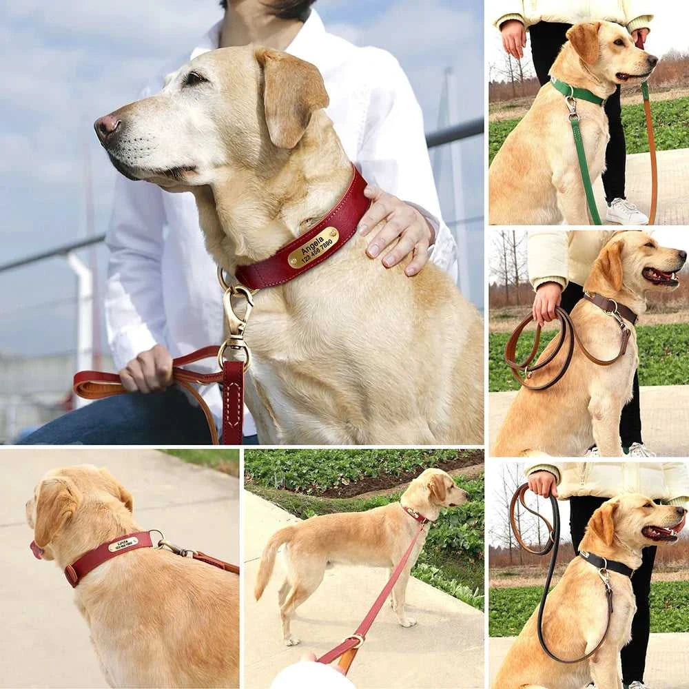Leather Leash Real Leather Dog Leash Durable Medium Large Dog Lead Genuine Leather Walking Pet Leads Leash for Dogs German Shepherd Pitbull 14:10#black;5:361385 42 $ Pet Lovers Shop All Products Fashioned Furbabies Stew's Incense