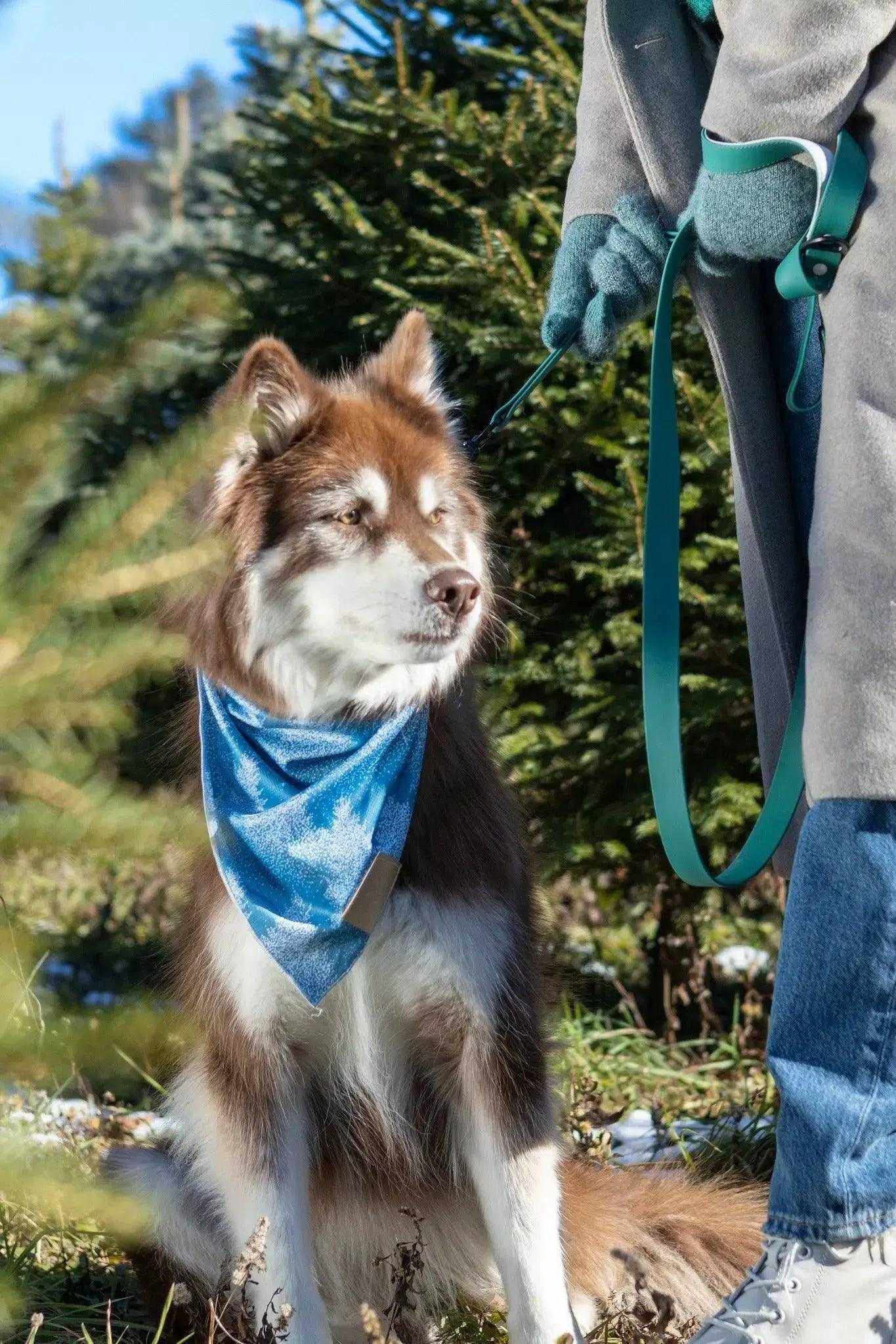 bandana Siberian Spruce Dog Bandana BD24SS01 14 $ Shop All Aria the Fox Stew's Incense