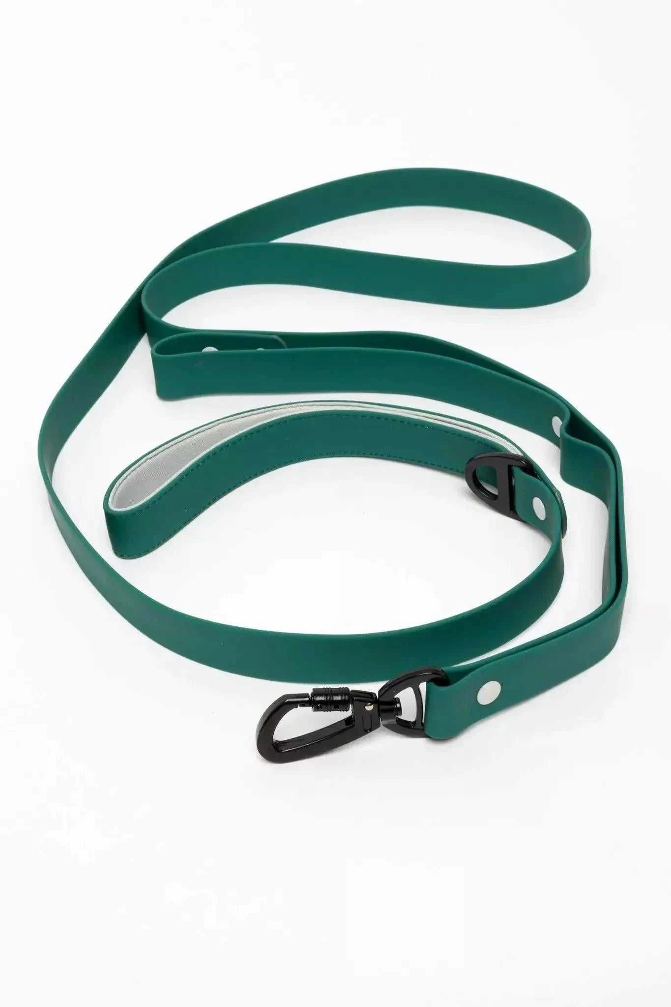 Leash Siberian Spruce Waterproof Dog Leash LE24SS01 39 $ Shop All Aria the Fox Stew's Incense