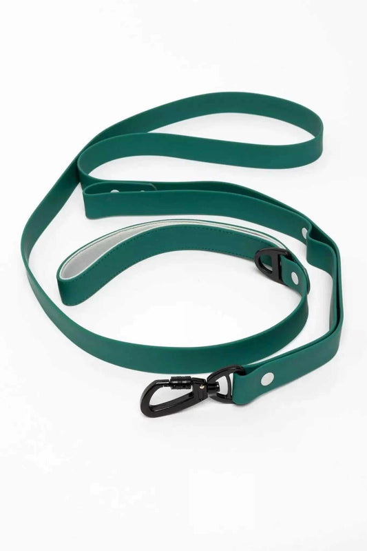 Leash Siberian Spruce Waterproof Dog Leash LE24SS01 39 $ Shop All Aria the Fox Stew's Incense