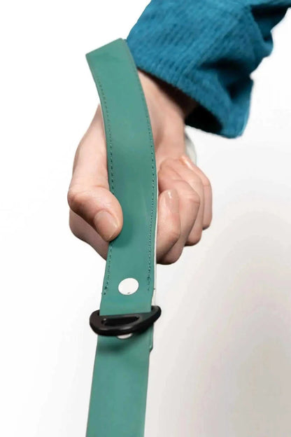 Leash Siberian Spruce Waterproof Dog Leash LE24SS01 39 $ Shop All Aria the Fox Stew's Incense
