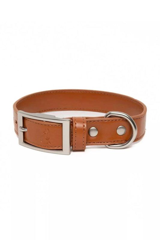 Collar Sierra Sunrise Vegan Leather Dog Collar VC24SI01 29 $ Shop All Aria the Fox Stew's Incense