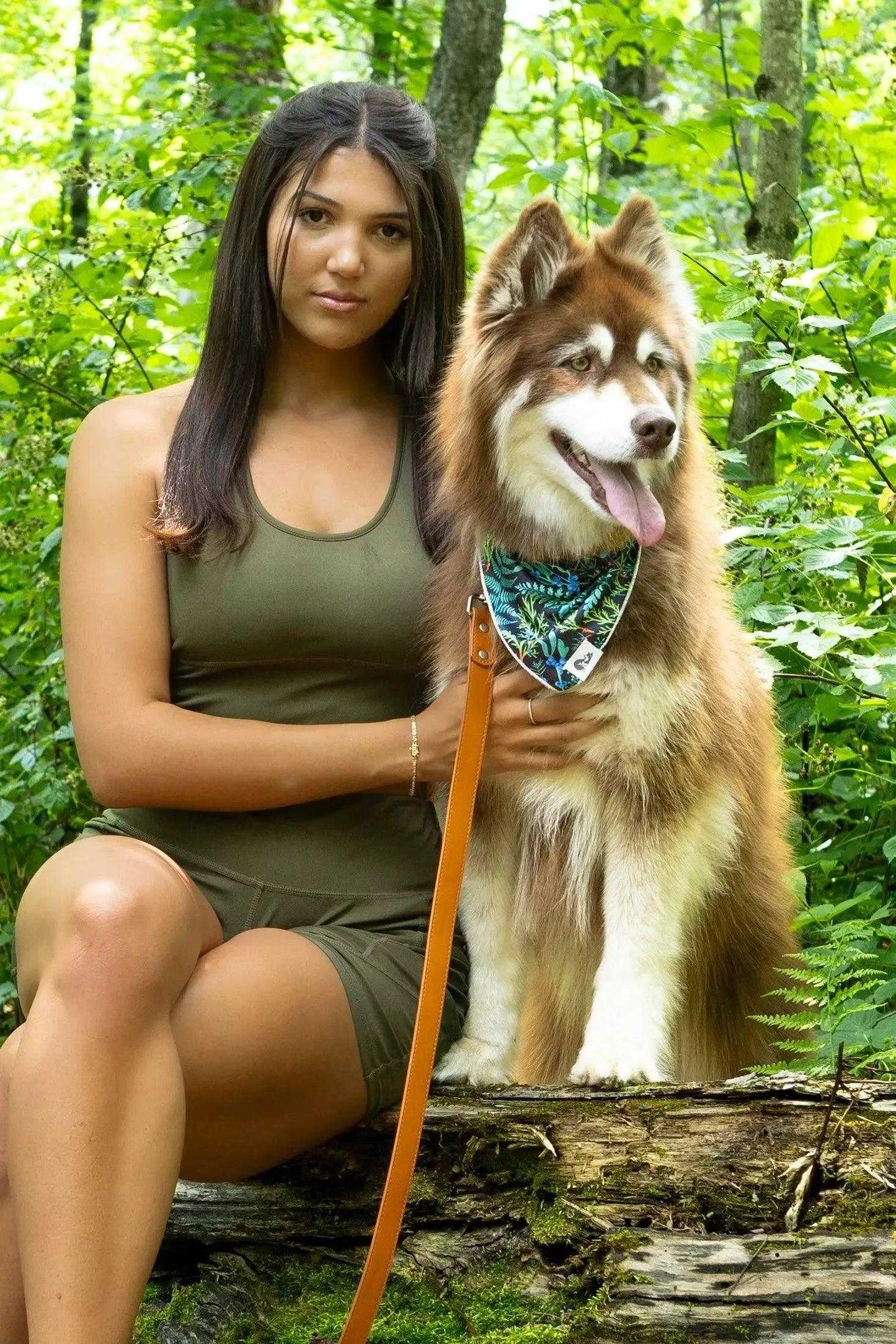 Leash Sierra Sunrise Vegan Leather Dog Leash VL24SI01 39 $ Shop All Aria the Fox Stew's Incense