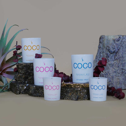 COCO Candle Blue Birch Natural Coconut Apricot Wax Candle COCO6BB 24 $ Shop All Stone Candles Stew's Incense