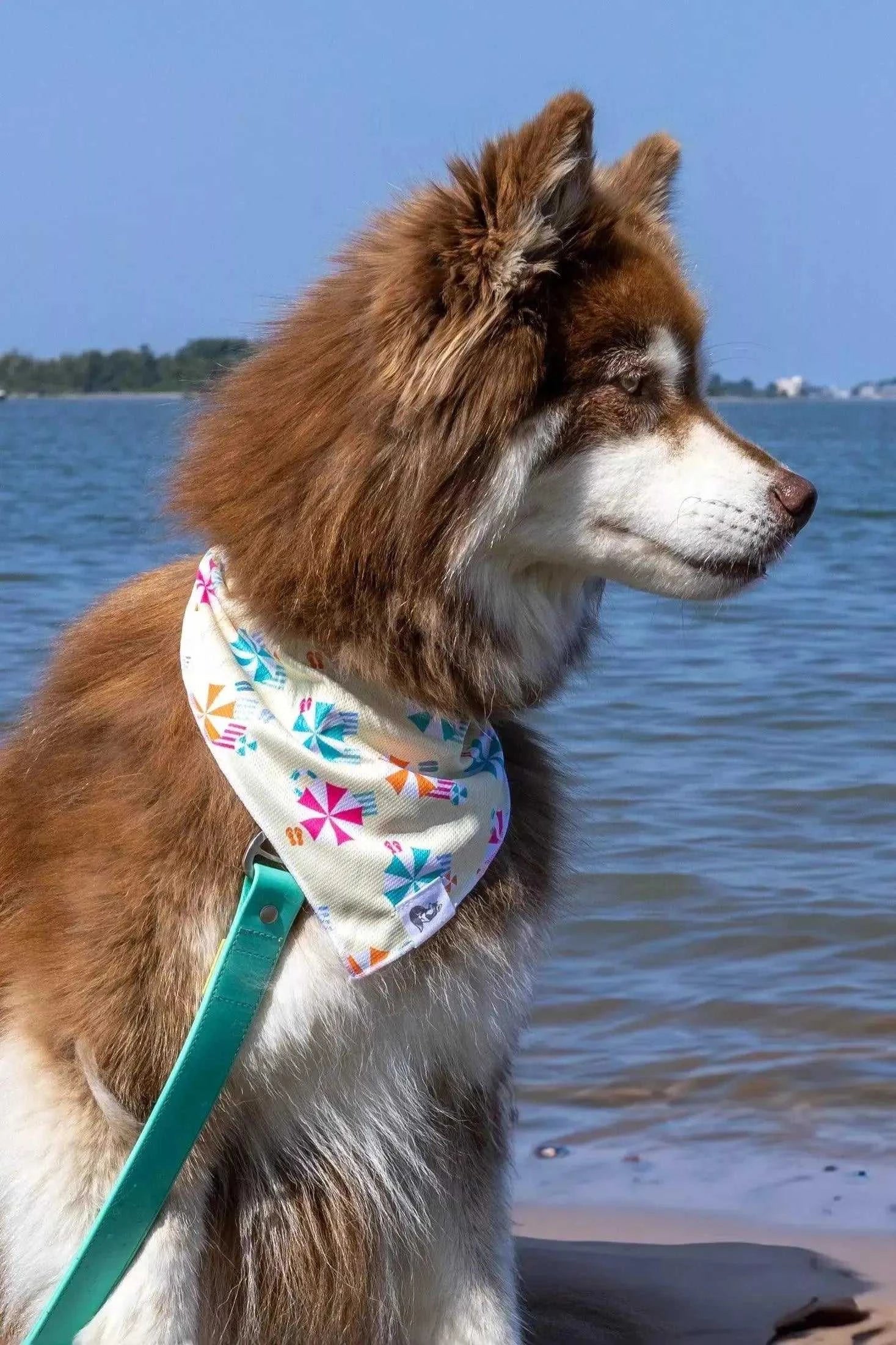 bandana Sun & Shade Dog Bandana & Matching Keychain BK24SU01 26 $ Shop All Aria the Fox Stew's Incense
