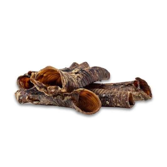 Dog Treats Country Living All-Natural Beef Trachea Dog Treats, Protein-Packed Chews – 6 Inches (5-Pack) PCK138-5P 15 $ Pet Lovers Store American Pet Supplies Stew's Incense