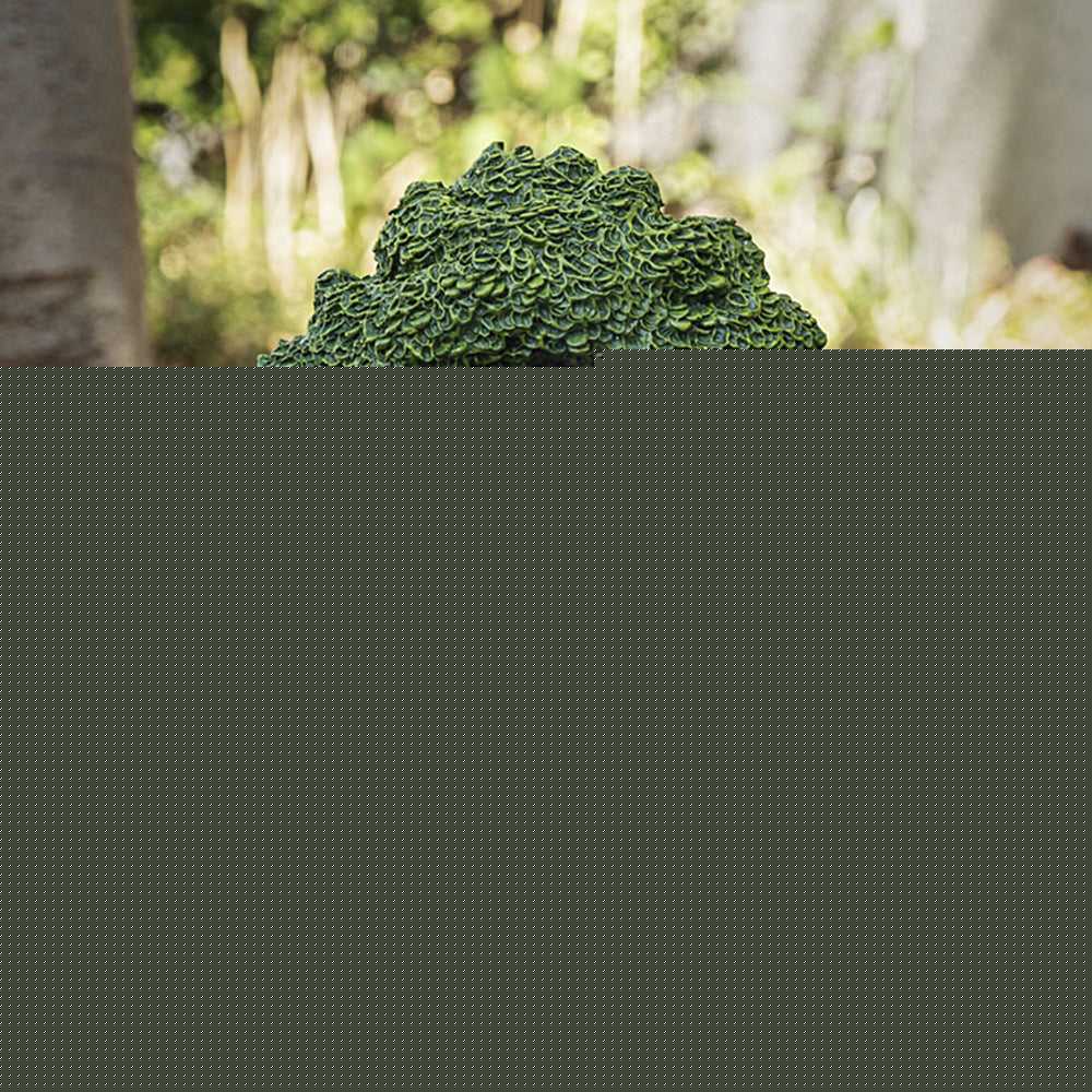 Incense Burner Yoga Tree ENT Backflow Incense Burner 15108 28 $ Shop All The Witches Sage LLC Stew's Incense