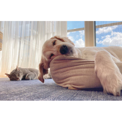 Dog Chews UBAVET Ubacalm Calming and Stress Relief Soft Dog Chews UVUS99220 18 $ Pet Lovers Store American Pet Supplies Stew's Incense