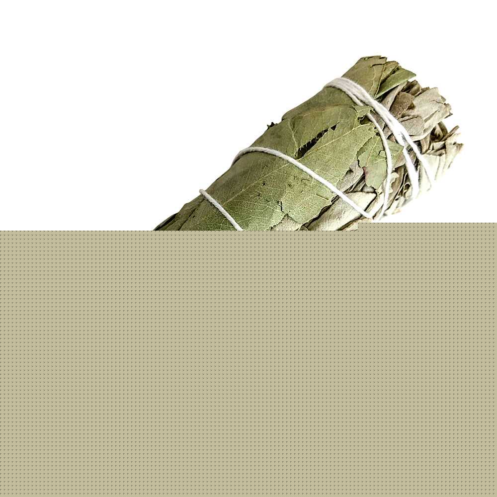 smudge sticks White Sage & Eucalyptus Smudge Stick 3-4" MS1-EU 3 $ Shop All The Witches Sage LLC Stew's Incense
