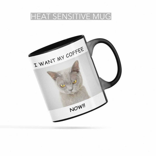 Mug Heat Sensitive Cat Loves Coffee Ceramic Color Changing Mug CCMLC1001A1 24 $ Mugs Onetify Stew's Incense