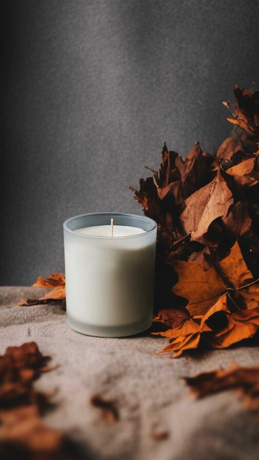  Autumn Hearth CANDLE - *SEASONAL EXCLUSIVE!* sku-42149091016794 35 $ Shop All Moon Water Apothecary Stew's Incense