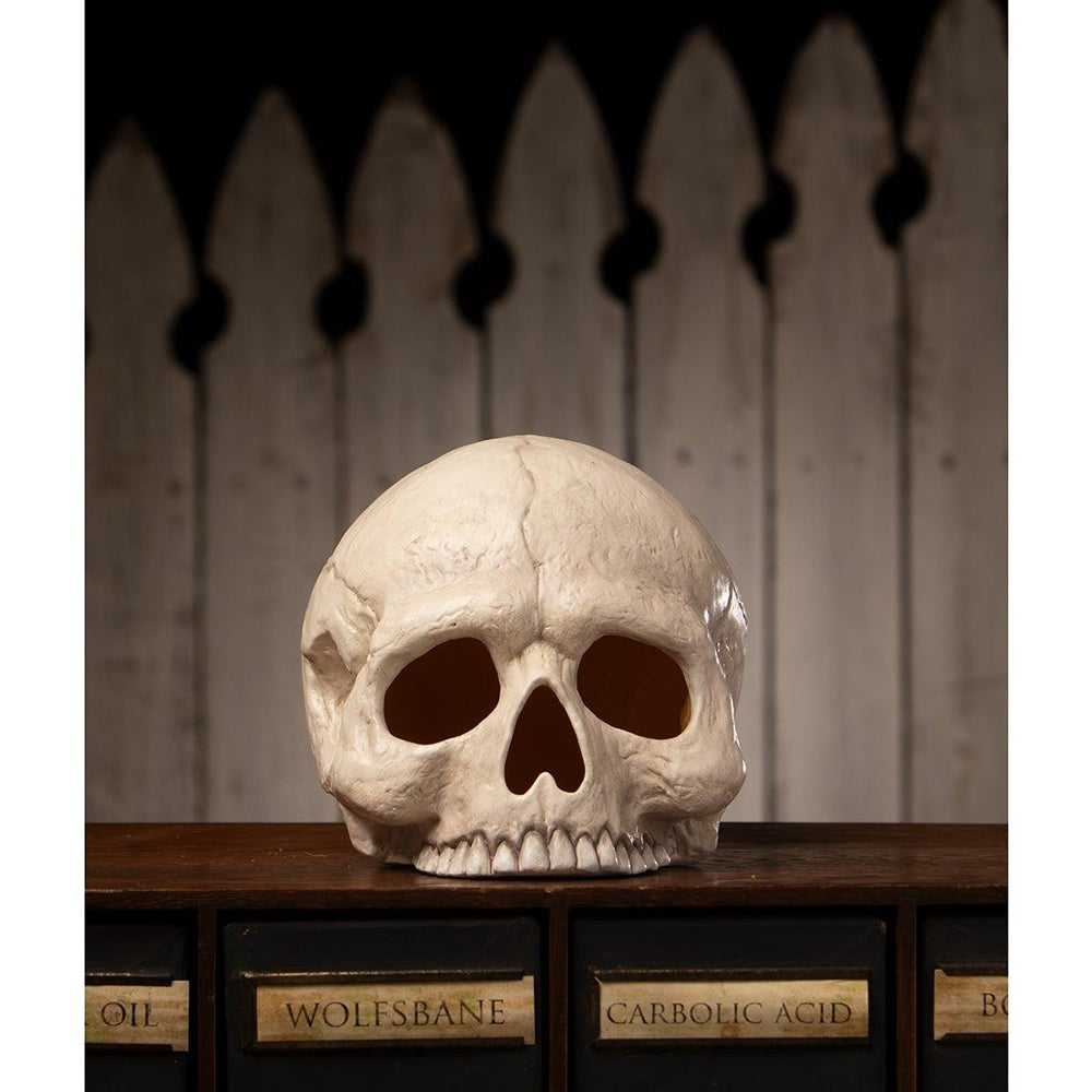 Figurines Skull Votive by Bethany Lowe Designs TD4136 119 $ Shop All Quirks! Stew's Incense
