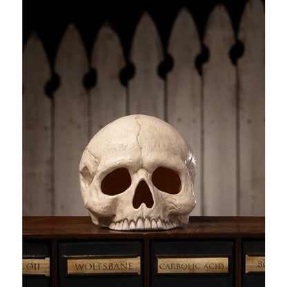 Figurines Skull Votive by Bethany Lowe Designs TD4136 119 $ Shop All Quirks! Stew's Incense